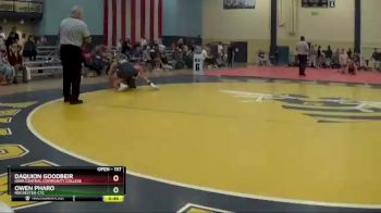 125 lbs Semifinal - Ethan Higgins, MN-West CC vs Rocco Visci, Rochester-CTC