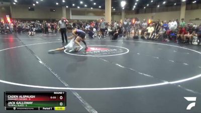 113 lbs Round 1 (6 Team) - Jack Galloway, Techfall Black vs Caden Alspaugh, Mississippi Mayhem