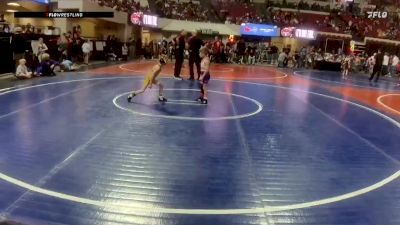 46 lbs Quarterfinal - Yates Ross, Miles City Wrestling Club vs Henry Alexander, Summit Wrestling Club