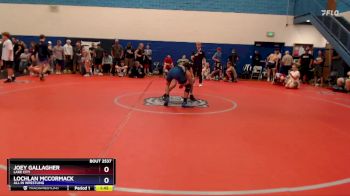 132 lbs Cons. Round 3 - Joey Gallagher, Lake City vs Lochlan McCormack, All In Wrestling