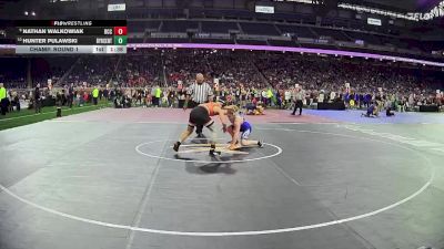 D1-132 lbs Champ. Round 1 - Nathan Walkowiak, Detroit Catholic Central HS vs Hunter Pulawski, Byron Center HS