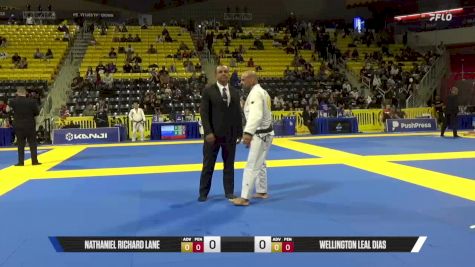 Wellington Leal Dias vs Nathaniel Richard Lane 2025 Master International IBJJF Jiu-Jitsu North American Championship