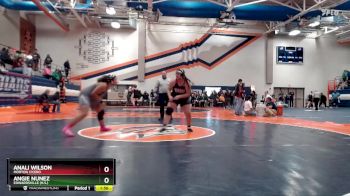 235 lbs Cons. Round 2 - Angie Nunez, Edwardsville (H.S.) vs Anali Wilson, Morton Cicero