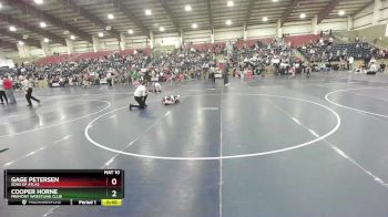 47 lbs Quarterfinal - Gage Petersen, Sons Of Atlas vs Cooper Horne, Fremont Wrestling Club