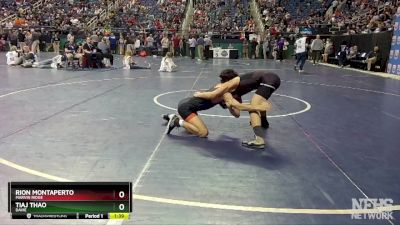 4A 126 lbs Quarterfinal - Tiaj Thao, Davie vs Rion Montaperto, Marvin Ridge