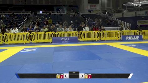Brian Ariel Lenbien vs Noah Alan Horning 2025 Pan IBJJF Jiu-Jitsu No-Gi Championship