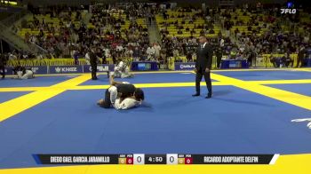 Ricardo Adoptante Delfin vs Diego Gael Garcia Jaramillo 2025 World Jiu-Jitsu IBJJF Championship