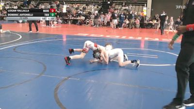 73 lbs Rr Rnd 5 - Logan Vallalla, Mat Assassins Gray - ESE vs Dominic Antonelli, Thunderstruck - ESE