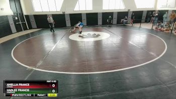 140 lbs Cons. Round 2 - Hadlee Francis, Pinedale vs Amellia France, Lyman