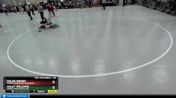 110 lbs Cons. Round 3 - Haley Williams, Comets Wrestling Club vs Chloe Wehry, Pursuit Wrestling Minnesota