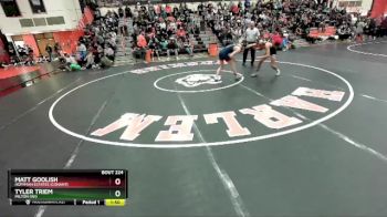 132 lbs Cons. Round 1 - Tyler Triem, MILTON (WI) vs Matt Goolish, Hoffman Estates (CONANT)