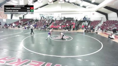 133 lbs Semifinal - Carter Taylor, University Of The Ozarks vs Isaac Gawronski, Westminster