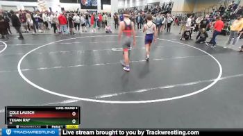 120 lbs Cons. Round 4 - Cole Lausch, MI vs Tegan Ray, MI