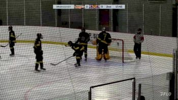 Replay: Home - 2024 Golden Hawks vs Panthers | Dec 1 @ 7 PM