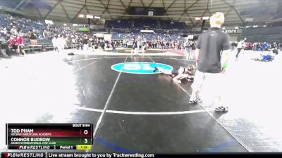 113-120 lbs Round 5 - Tod Pham, Ascend Wrestling Academy vs Connor Budrow, Askeo International Mat Club