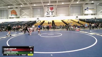 101 lbs Cons. Round 5 - Camren Driscoll, Olean Wrestling Club vs Colby Roesler, Club Not Listed