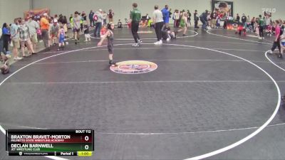 41 lbs 2nd Place Match - Braxton Bravet-Morton, Palmetto State Wrestling Academy vs Declan Barnwell, Jet Wrestling Club