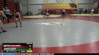 133 lbs Quarterfinal - Anthony Gallagher, Coe vs Joseph Lupton, Graceland University