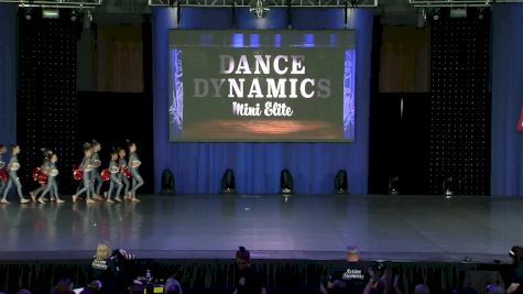 Dance Dynamics Mini Elite [2019 Mini Small Pom Day 2] NDA All-Star National Championship