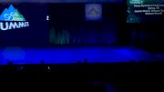 Dance Dynamics Youth Large Lyrical [2019 Large Youth Contemporary/Lyrical Finals] 2019 The Summit