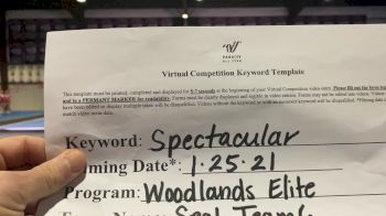 Woodlands Elite OR - Seal Team 6 [L6 International Open Coed - Small] 2021 ATC International Virtual Championship