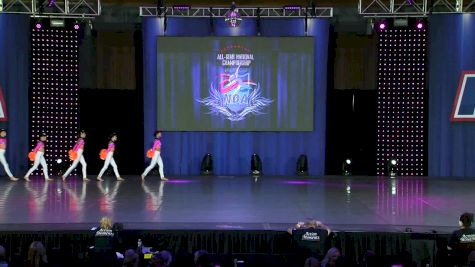 Dance Dynamics [2019 Youth Large Pom Day 2] NDA All-Star National Championship