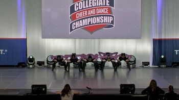 New York University [2022 Team Performance Division III Prelims] 2022 NCA & NDA Collegiate Cheer and Dance Championship