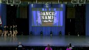 Dance Dynamics Junior Pink [2019 Junior Small Jazz Day 1] NDA All-Star National Championship