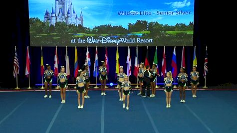 Wildcat Elite - Senior Silver [2019 L3 Senior Small Coed D2 Day 2] 2019 UCA International All Star Cheerleading Championship