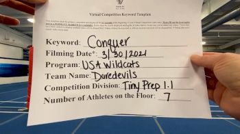 USA Wildcats - Daredevils [L1.1 Tiny - PREP] 2021 Varsity All Star Winter Virtual Competition Series: Event V