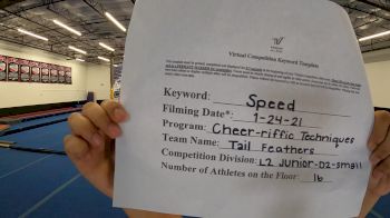Cheer-riffic Techniques - Tail Feathers [L2 Junior - D2 - Small - B] 2021 Varsity All Star Winter Virtual Competition Series: Event I