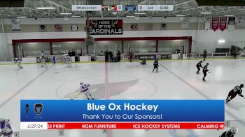 Replay - 2025 Hudson Havoc vs Minnesota Blue Ox - Jan 25