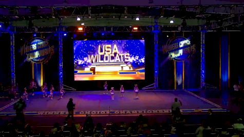 USA Wildcats - Cool Cats [2024 Tiny] 2021 CHEERSPORT: Concord Classic 1