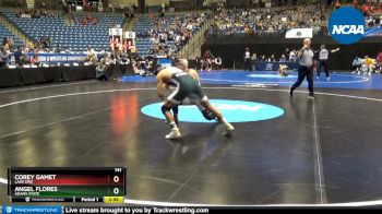 141 lbs Prelim Round 1 - Angel Flores, Adams State vs Corey Gamet, Lake Erie