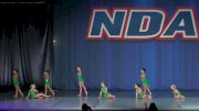 South Texas Strutters [2024 Tiny - Contemporary/Lyrical Day 1] 2024 NDA All-Star Nationals