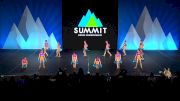 The Knockout All-Stars - Mini Sunflowers Variety [2023 Mini - Variety Semis] 2023 The Dance Summit