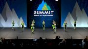 The Dance Vault - Youth Elite Pom [2024 Youth - Pom - Small Prelims] 2024 The Dance Summit