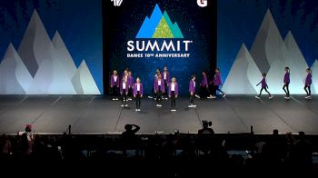Dance Dynamics - Mini Elite Large Hip Hop [2024 Mini - Hip Hop - Large Semis] 2024 The Dance Summit