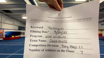 USA Wildcats [L1.1 Tiny - PREP] 2021 Varsity Virtual Competition Series - Prep & Novice II