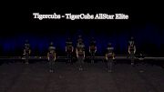 Tigercubs - TigerCubs AllStar Elite [2021 Junior Hip Hop - Small Semis] 2021 The Dance Summit