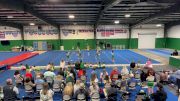 Masters City Cheer - Marigolds [L1 Mini - Novice - Restrictions] 2025 WSF - Virtual Winter I
