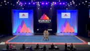 The Hive Cheer - BarBEES [2024 L5 Senior - Small Finals] 2024 The D2 Summit