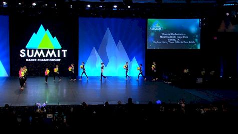 Dancin Bluebonnets - Mini Coed Elite Large Pom [2022 Mini Pom - Large Finals] 2022 The Dance Summit
