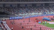 Professional Men's 110m Hurdles Wanda Diamond League
