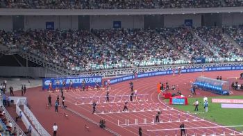 Professional Men's 110m Hurdles Wanda Diamond League
