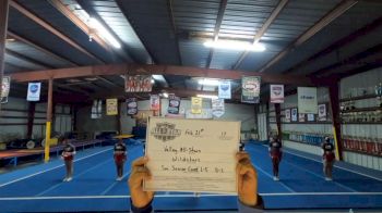 Valley All-Stars - Wildstars [L5 Senior Coed - D2 - Small] 2021 NCA All-Star Virtual National Championship