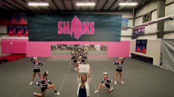 Savannah Sharks - Savannah Sharks - Blacktips [Level 2 L2 Junior - Small] Varsity All Star Virtual Competition Series: Event III