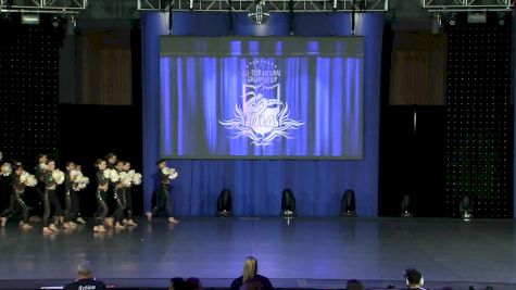 Dancin Bluebonnets [2019 Youth Large Pom Day 1] NDA All-Star National Championship