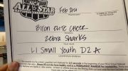 Biron Elite Cheer - Zebra Sharks [L1 Youth - D2 - Small - A] 2021 NCA All-Star Virtual National Championship