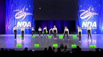 The Knockout All-Stars - Mini Sunflowers Variety [2025 Mini - Variety Day 1] 2025 NDA All-Star National Championship